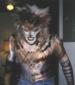 Were-Cat avatar