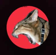 heero_yuy2 avatar