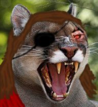 ArcticRoar avatar