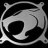 Cougar avatar